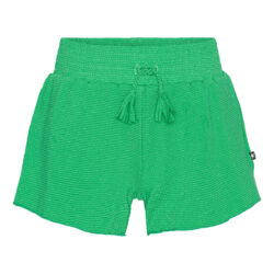 Nicci Bright Green Swim Shorts